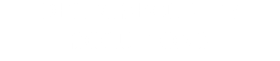 DELTA SECURITY SOLUTIONS